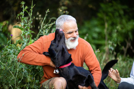 Top 5 types of foods for older dogs to help build up immunity